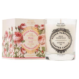 Cuddle Decor Scented Candle - Rejuvenating Rose by PANIER DES SENS 1