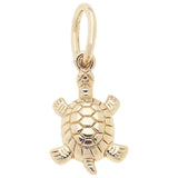 Cuddle Decor Sea Turtle Charm