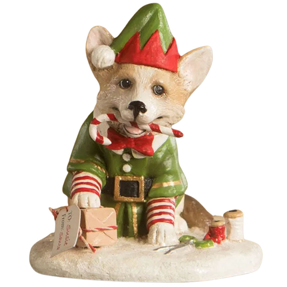 Wrapping it up Corgie