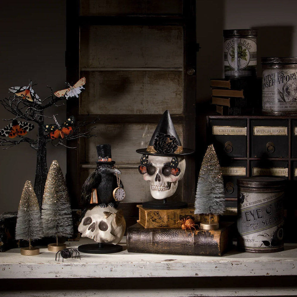 Moth Skull Halloween Table Decoration by Bethany Lowe Designs set