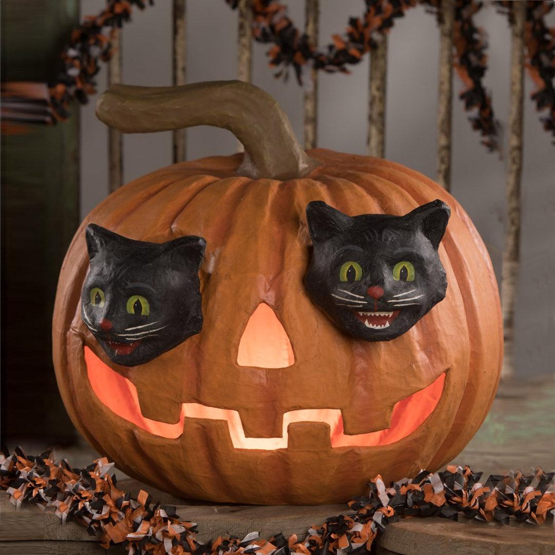 Cat jack o lantern deals