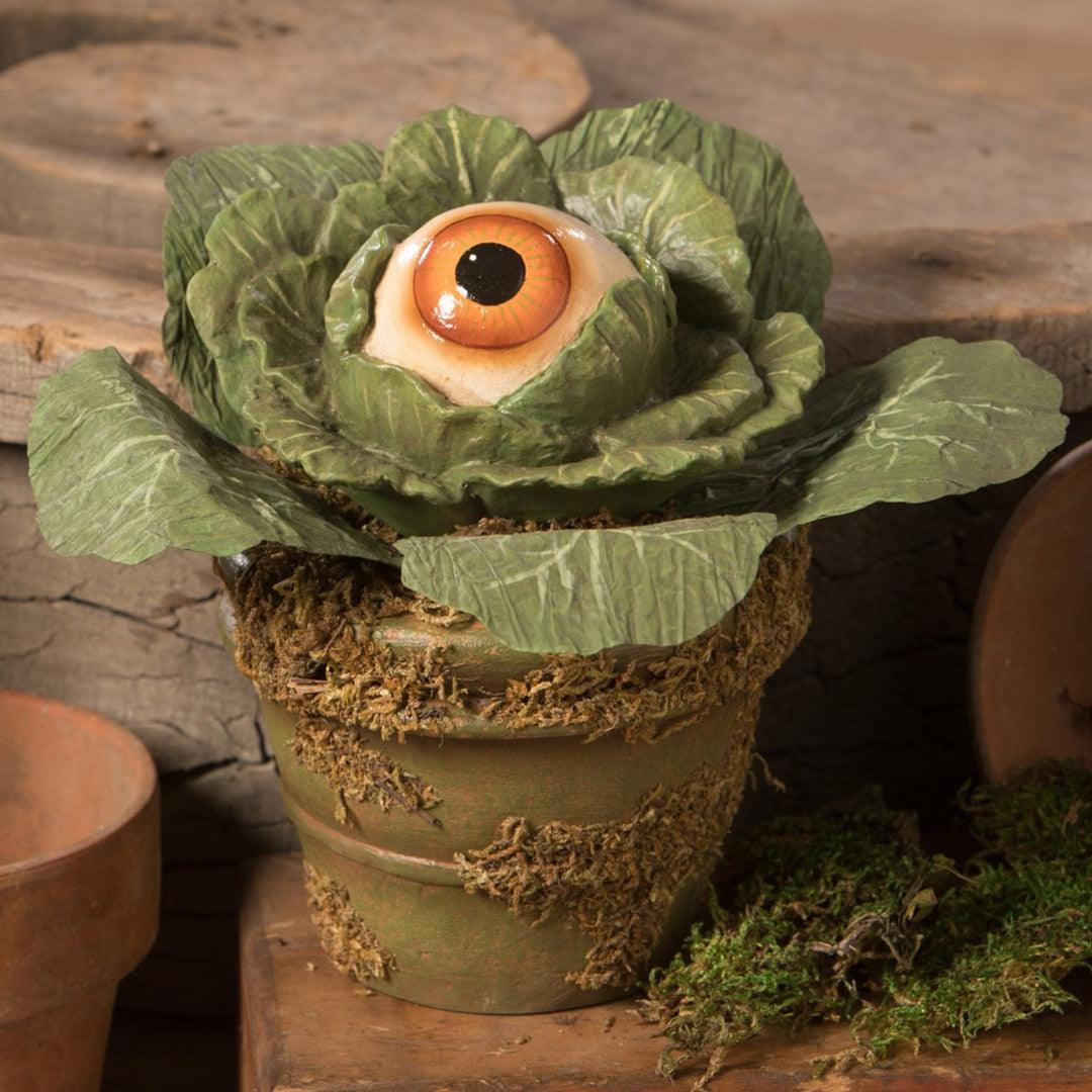 Eerie Eyeball Lettuce