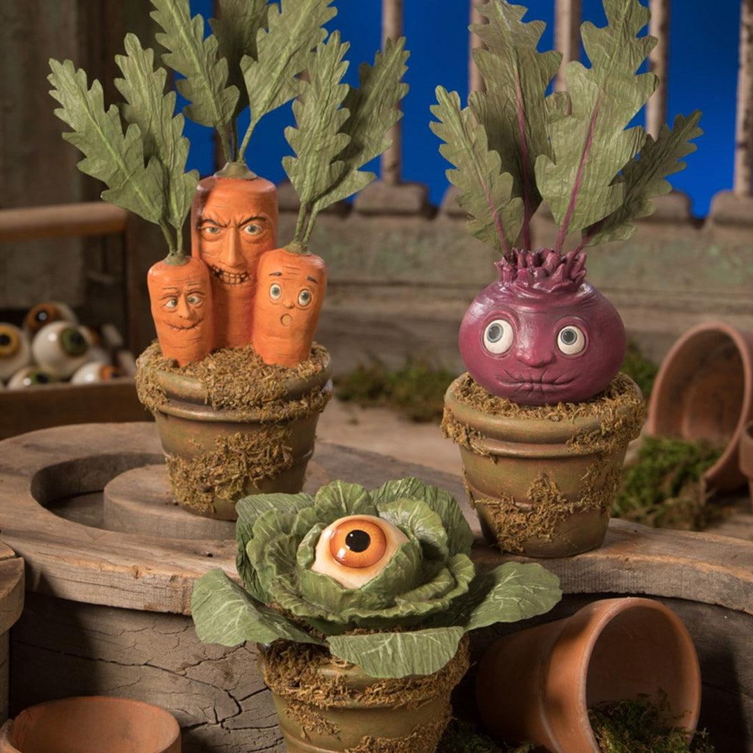 Eerie Eyeball Lettuce
