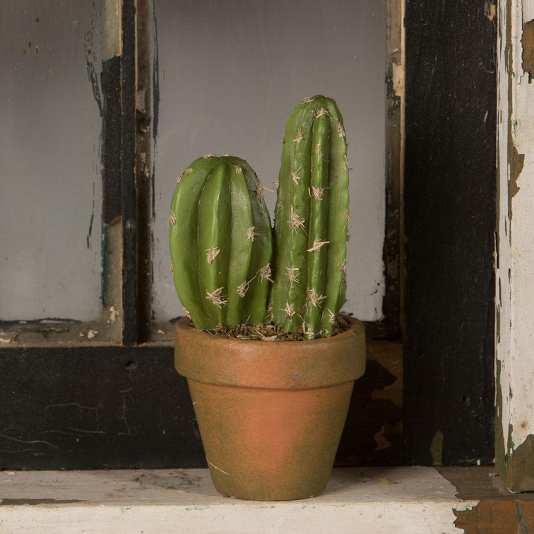 Potted Cacti O'Lantern