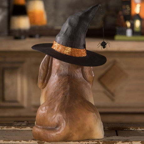 Trick or Treat Dog