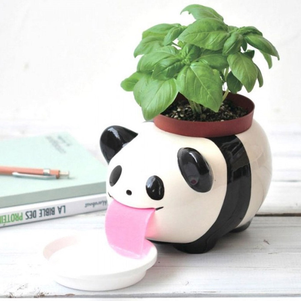 PAPA Peropon Planter Kit Self-Watering Tongue