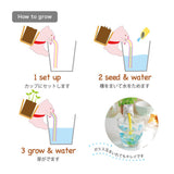 Chuppon Self Watering Sea Friends Planter